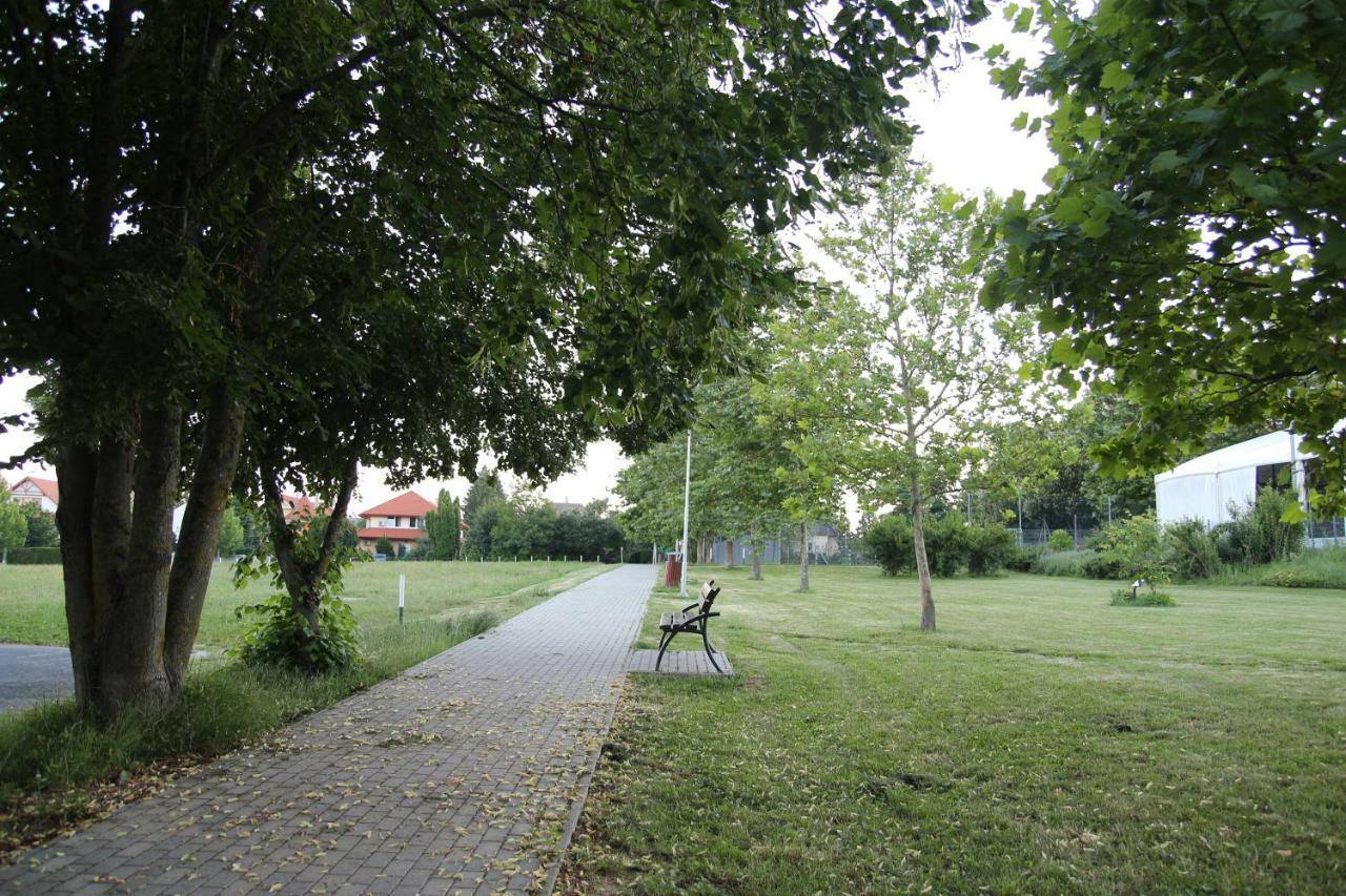 Apartment With Swing ヘーヴィーズ エクステリア 写真